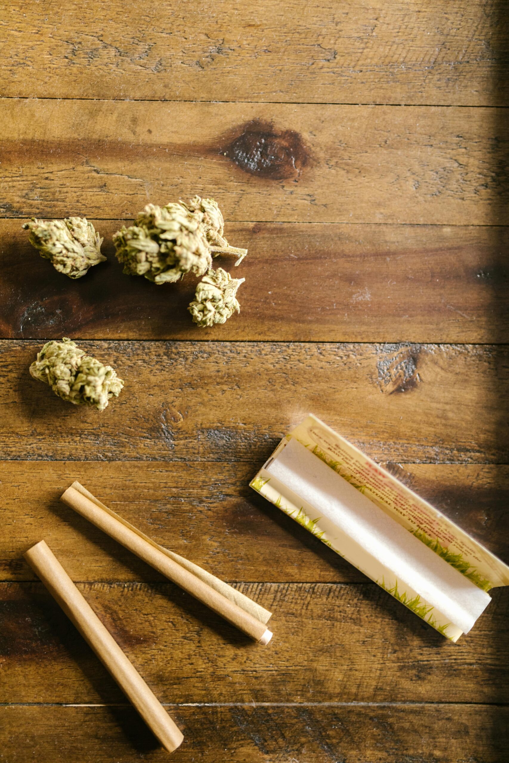 Best Stand Up Weed Pullers Best Stand Up Weed Pullers