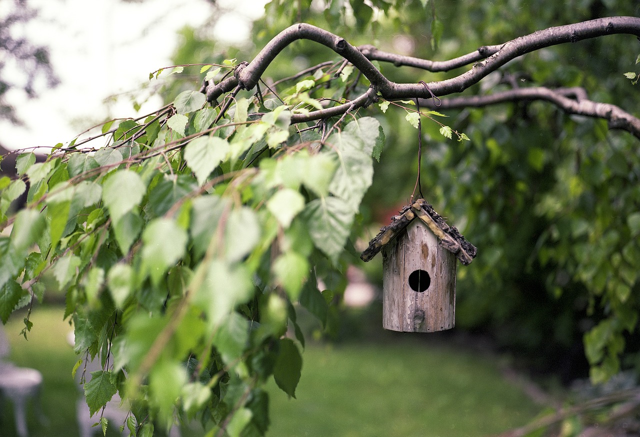 genius gardening ideas genius gardening ideas